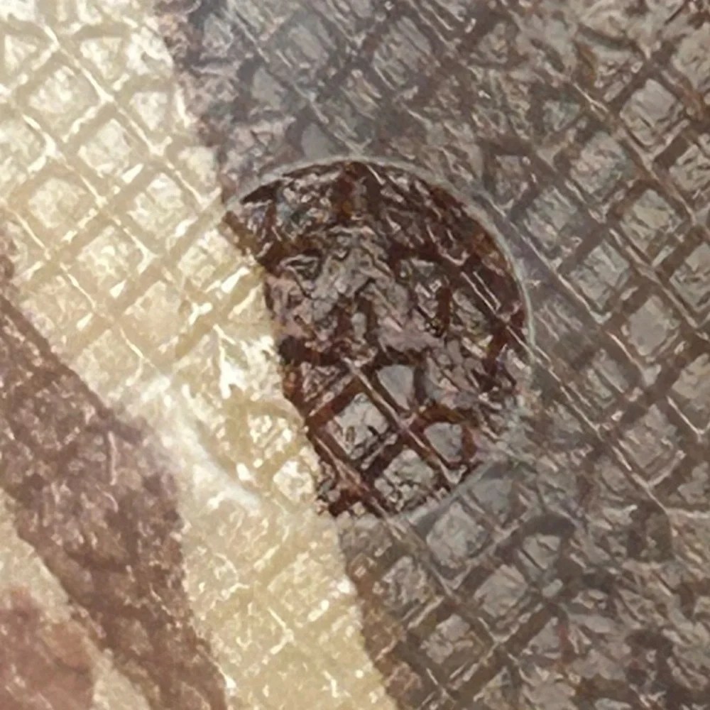 NIB - Marble Brown 48